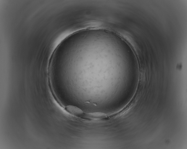 X0000093561487200710151057