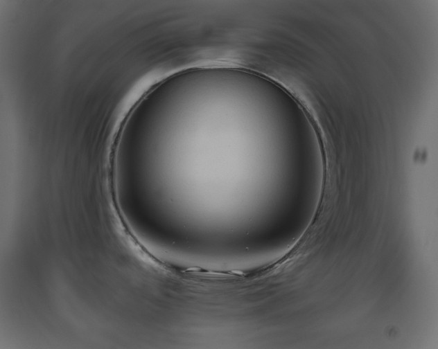 X0000093561488200710151057