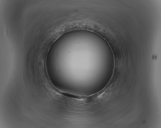 X0000093561489200710151057