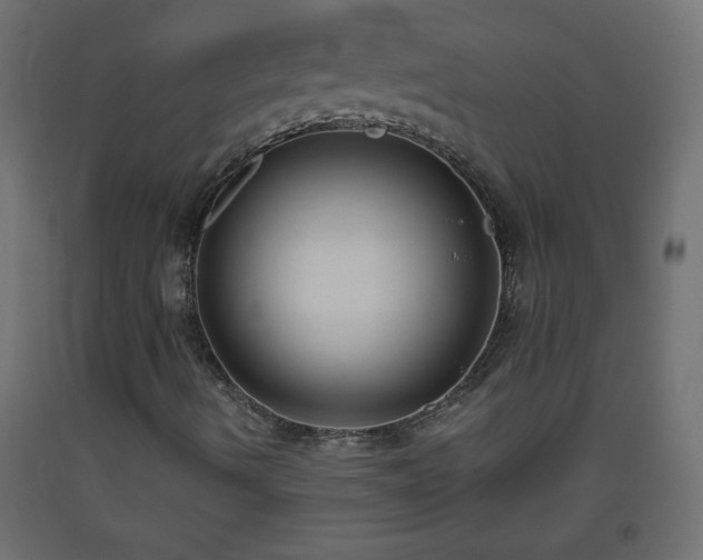 X0000093561490200710151057