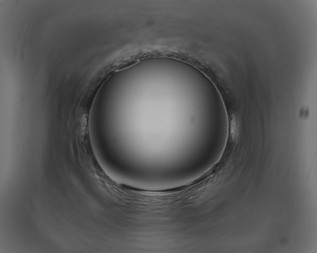 X0000093561492200710151057