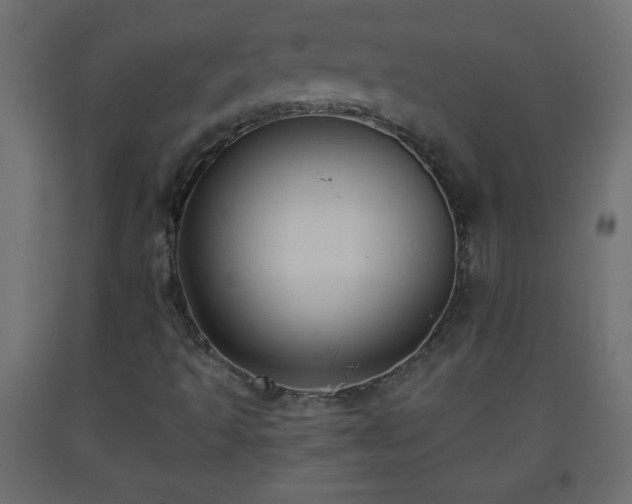 X0000093561493200710151057