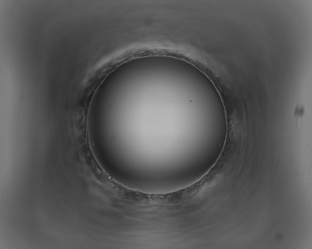 X0000093561494200710151057