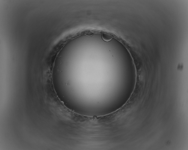 X0000093561495200710151057