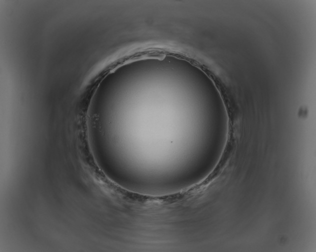 X0000093561496200710151057