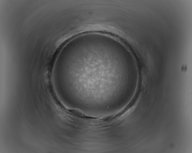 X0000093561497200710151057