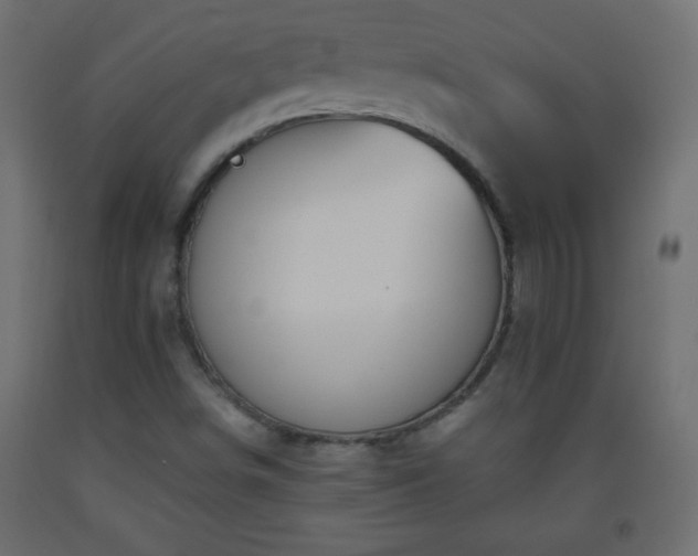 X0000093561498200710151057