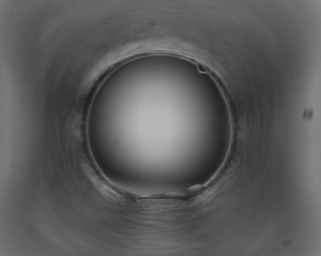 X0000093561499200710151057