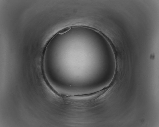 X0000093561500200710151057