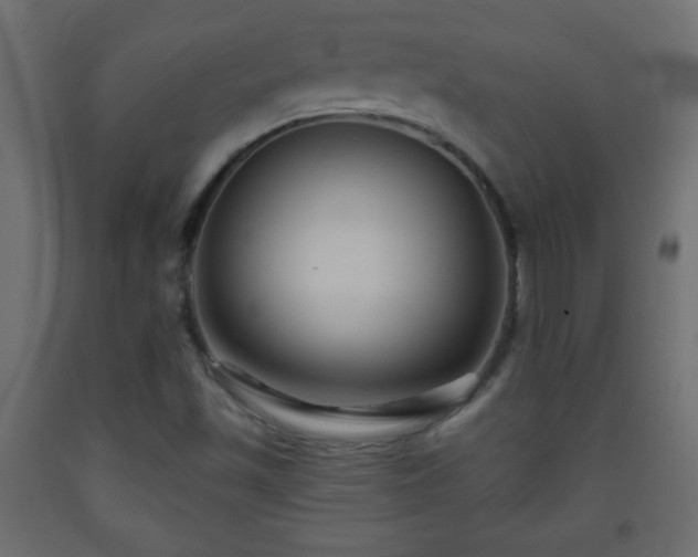 X0000093561501200710151057