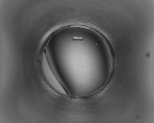 X0000093561502200710151057