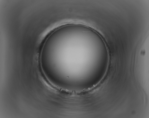 X0000093561503200710151057