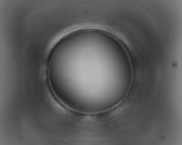 X0000093561504200710151057