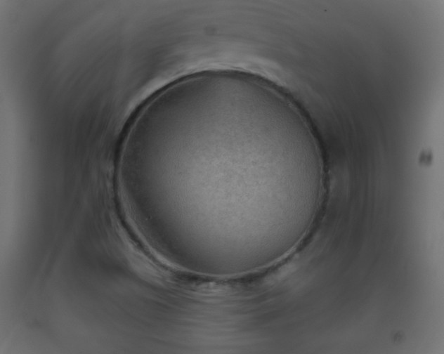 X0000093561505200710151057