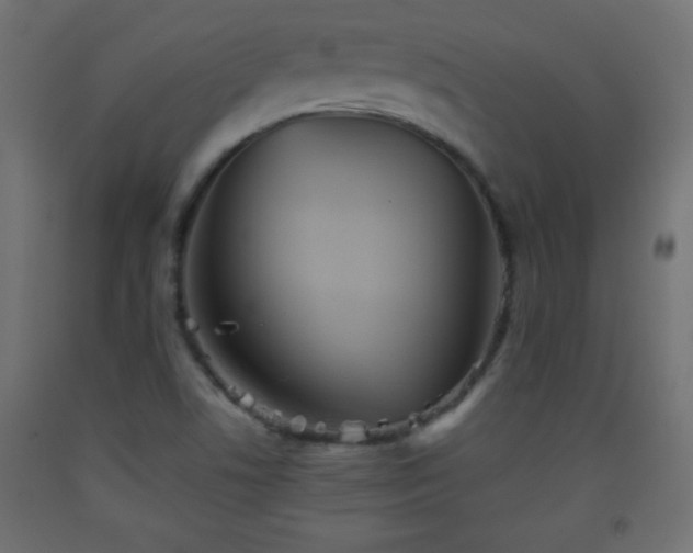 X0000093561506200710151057