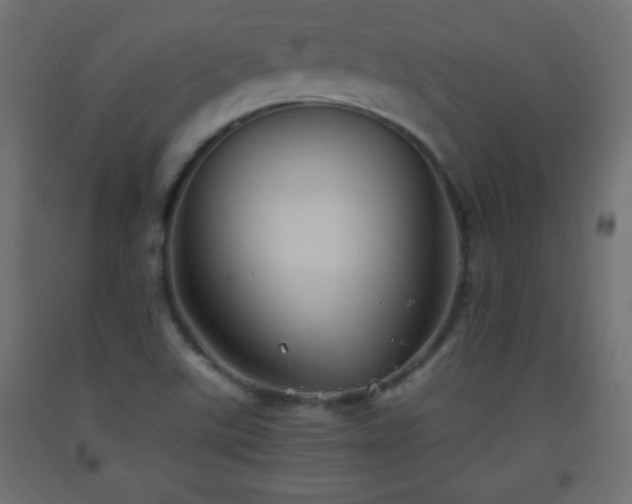X0000093561507200710151057