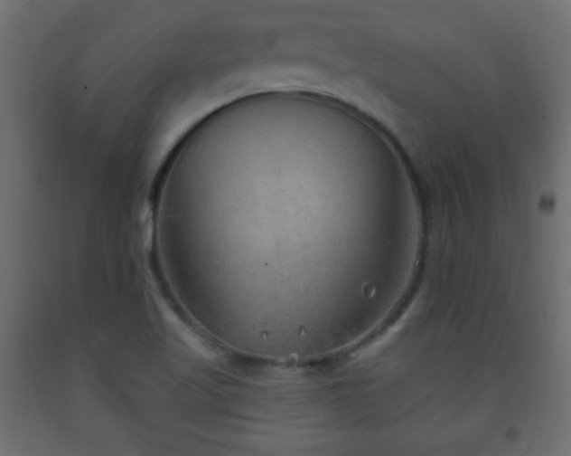 X0000093561509200710151057