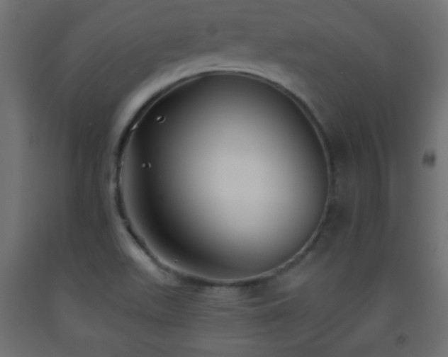 X0000093561511200710151057