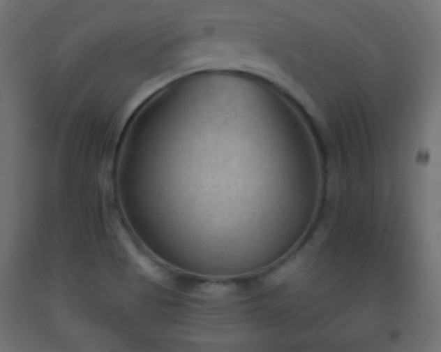 X0000093561513200710151057