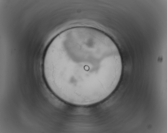 X0000093561514200710151057