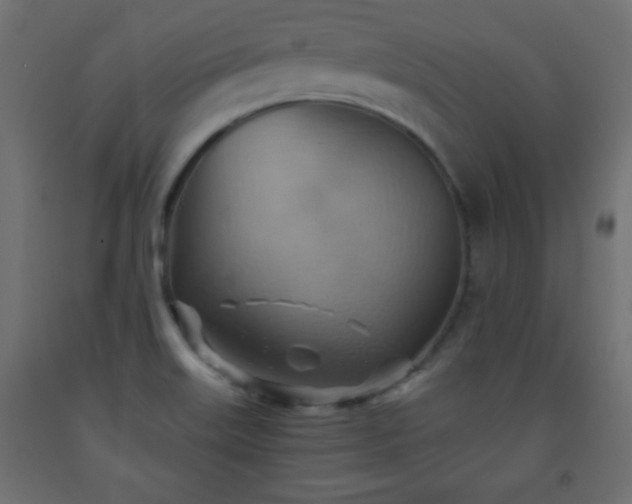 X0000093561515200710151057