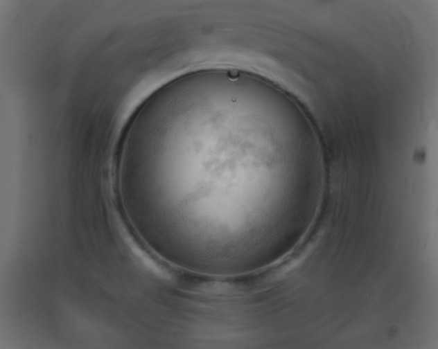 X0000093561517200710151057