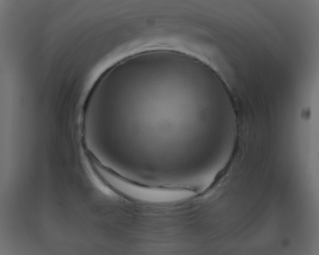 X0000093561519200710151057