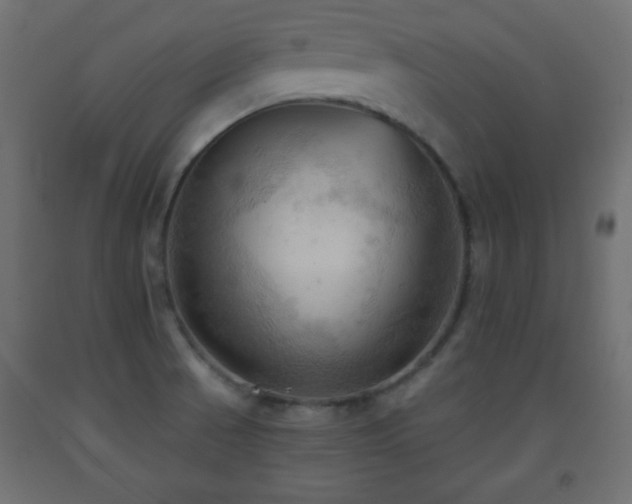 X0000093561521200710151057