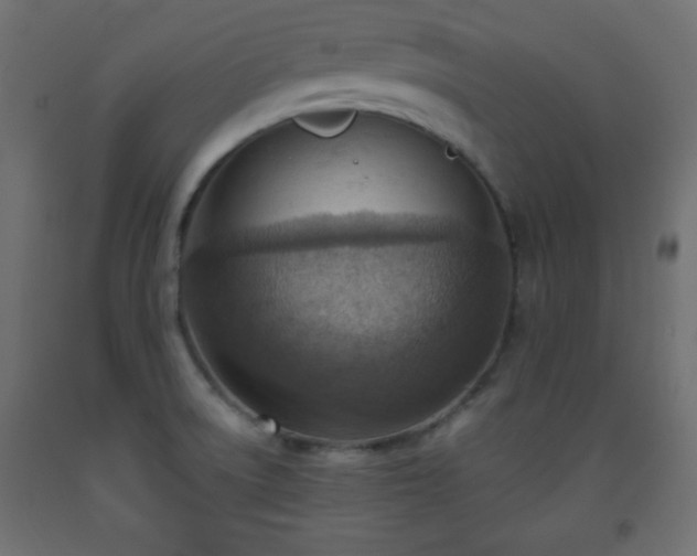X0000093561522200710151057