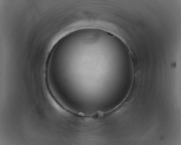 X0000093561523200710151057