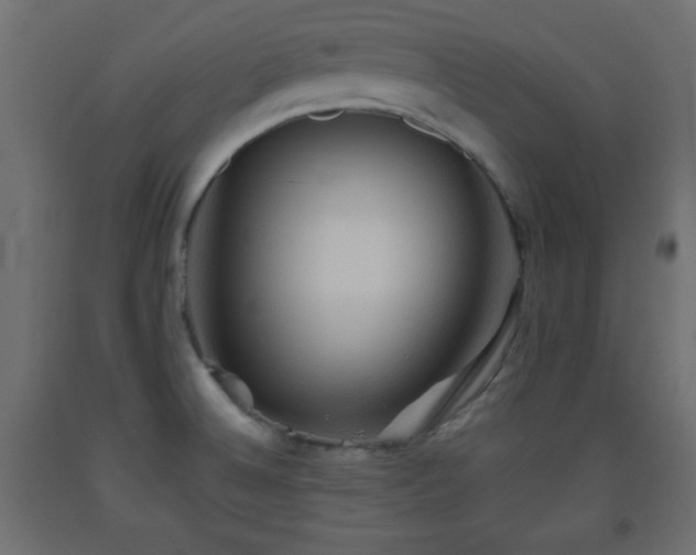 X0000093561524200710151057