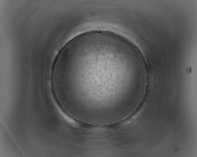 X0000093561525200710151057