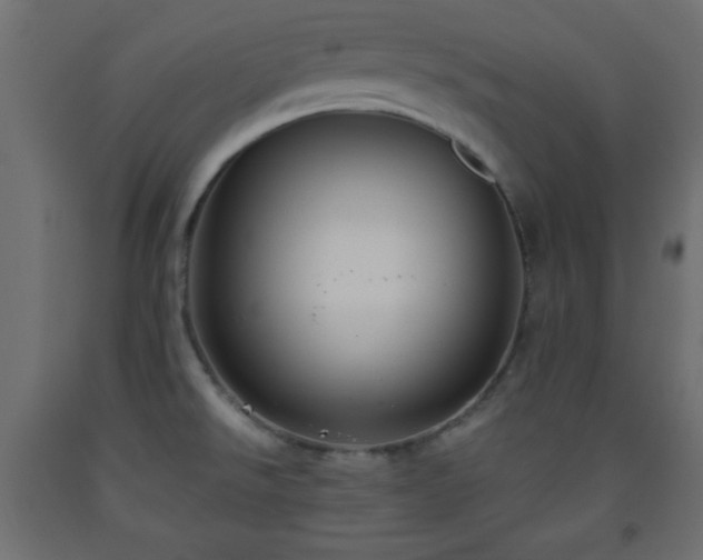 X0000093561526200710151057