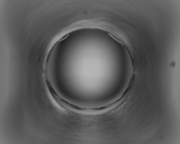 X0000093561528200710151057