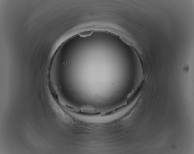 X0000093561530200710151057
