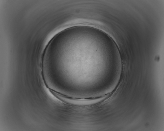 X0000093561531200710151057