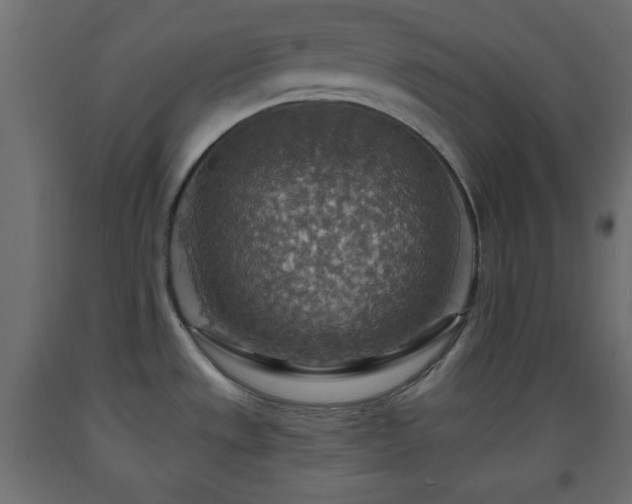 X0000093561533200710151057
