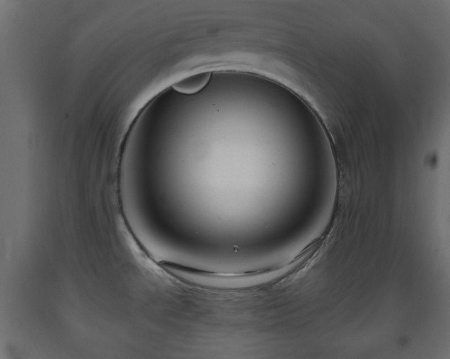 X0000093561534200710151057