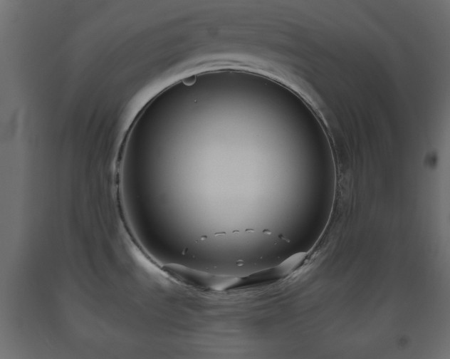 X0000093561535200710151057
