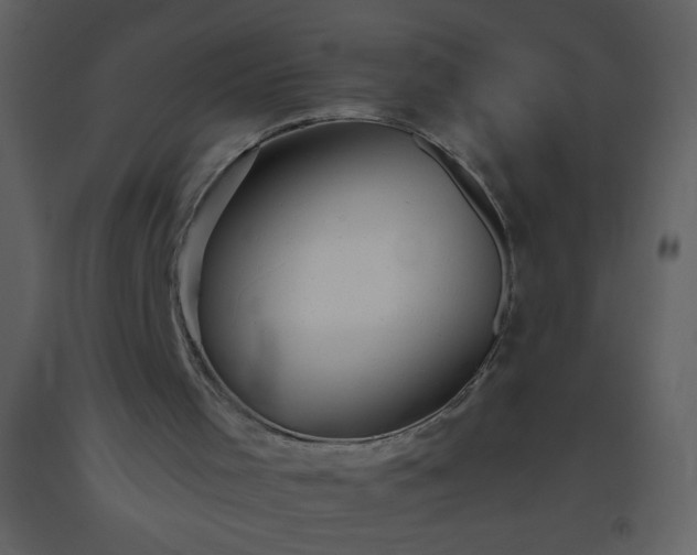 X0000093560001200710221432