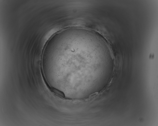 X0000093560003200710221432