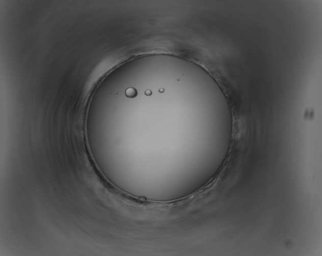 X0000093560004200710221432