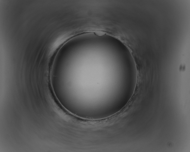 X0000093560005200710221432