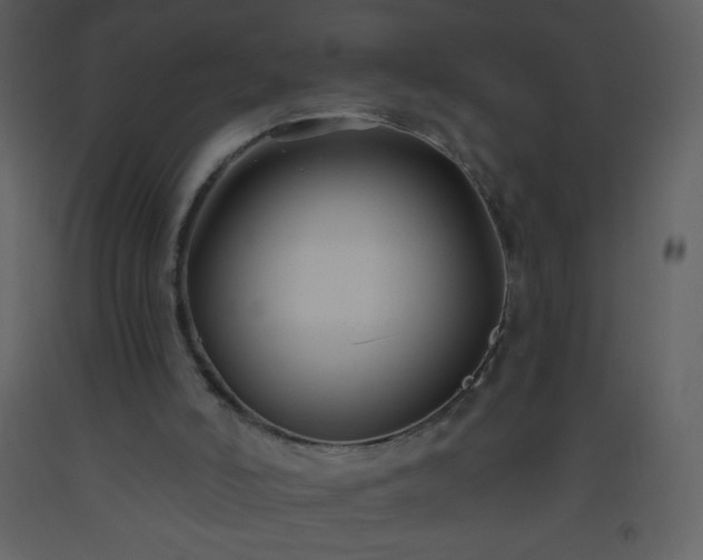 X0000093560006200710221432