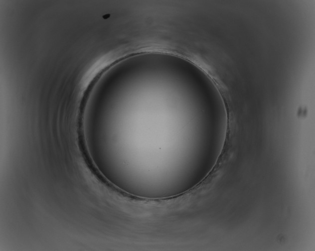 X0000093560007200710221432