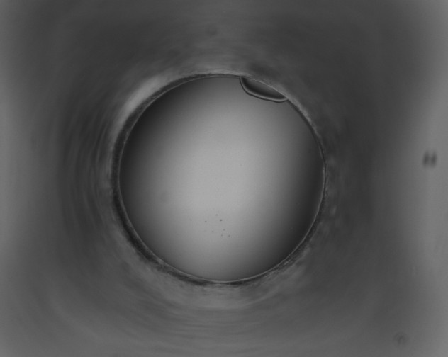 X0000093560008200710221432