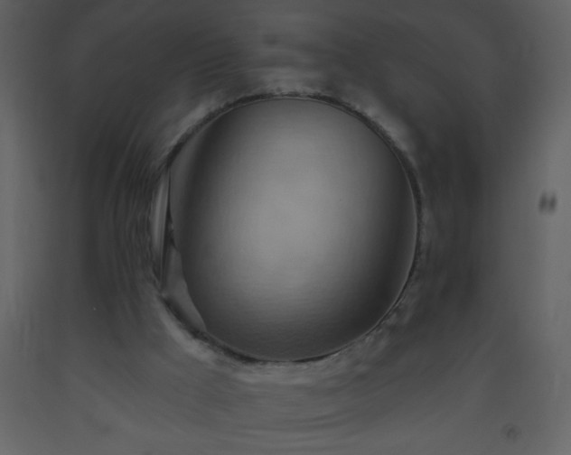 X0000093560009200710221432