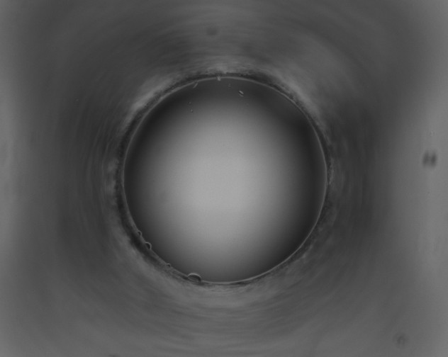 X0000093560010200710221432