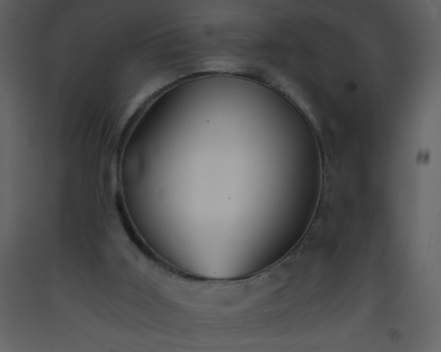 X0000093560011200710221432