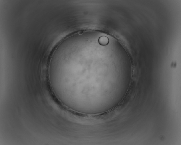 X0000093560012200710221432